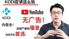 国产TUbe