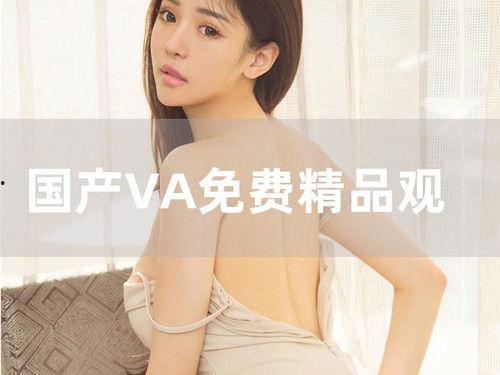 国产va在线观看视频,畅享视听盛宴,解锁精彩瞬间